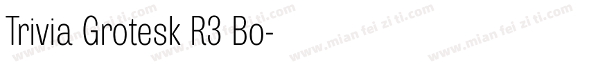 Trivia Grotesk R3 Bo字体转换